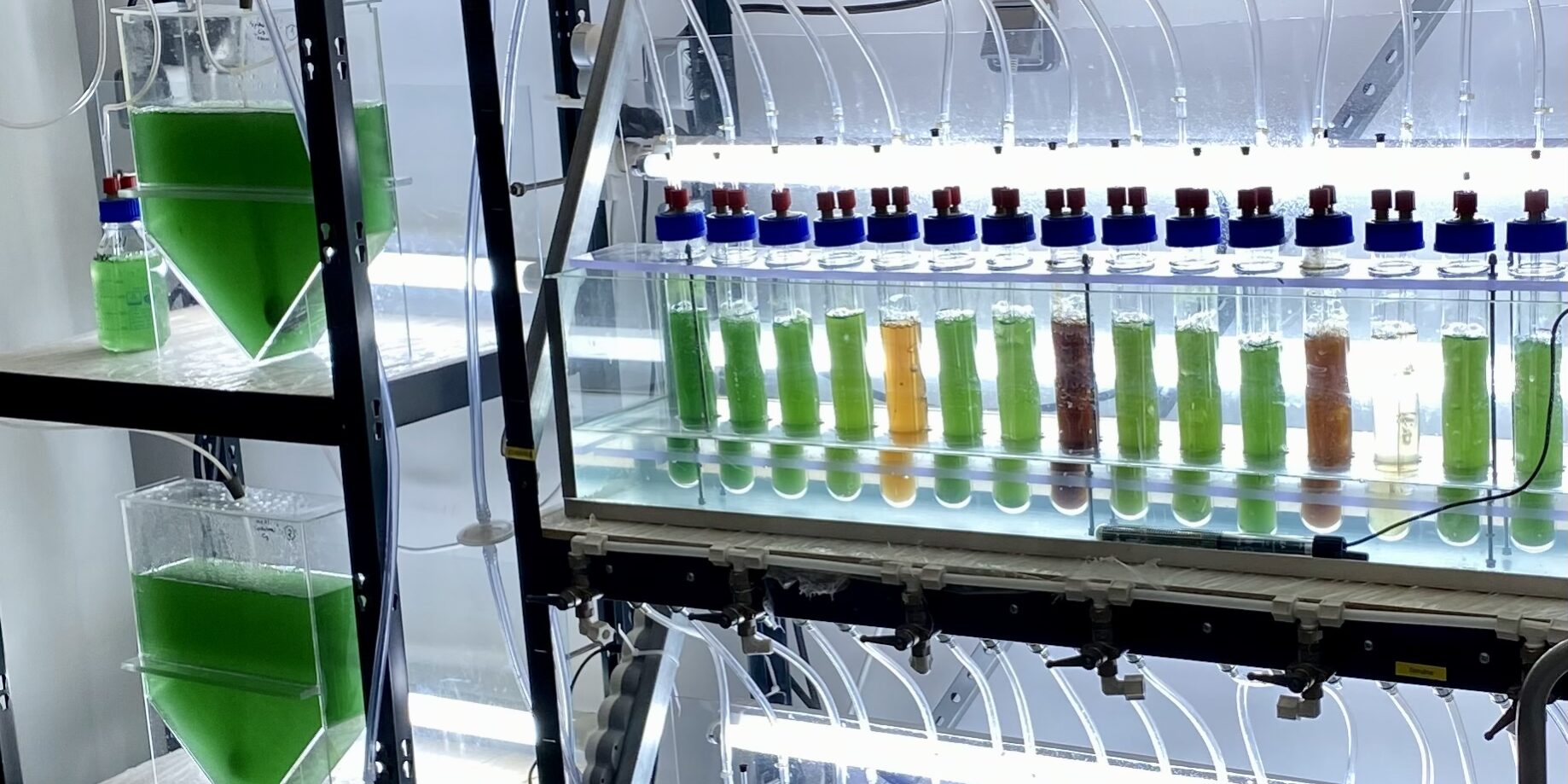 © APESA – crédit photo